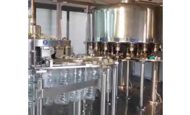 Rinsing Filling Capping Machine